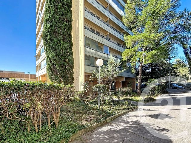 appartement - MONTPELLIER - 34