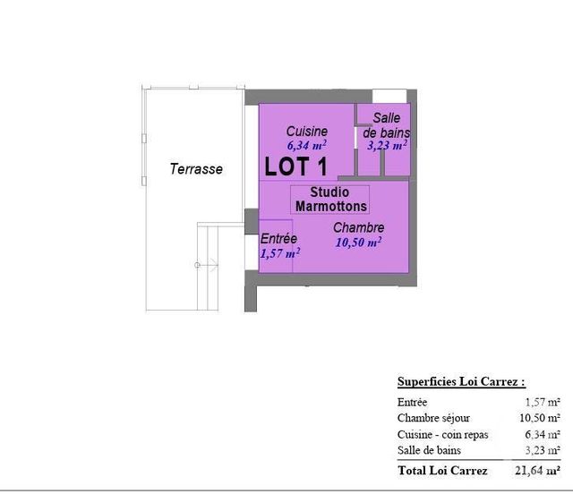 Appartement Studio &agrave; vendre - 1 pi&egrave;ce - 21,64 m2 - Les Houches - 74 - RHONE-ALPES