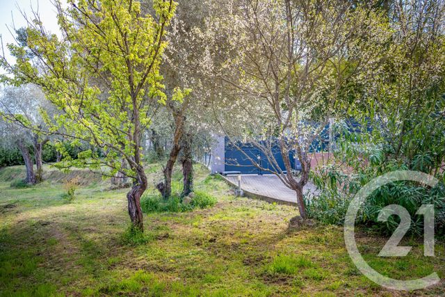 Maison à vendre - 6 pièces - 221 m2 - Contes - 06 - PROVENCE-ALPES-COTE-D-AZUR