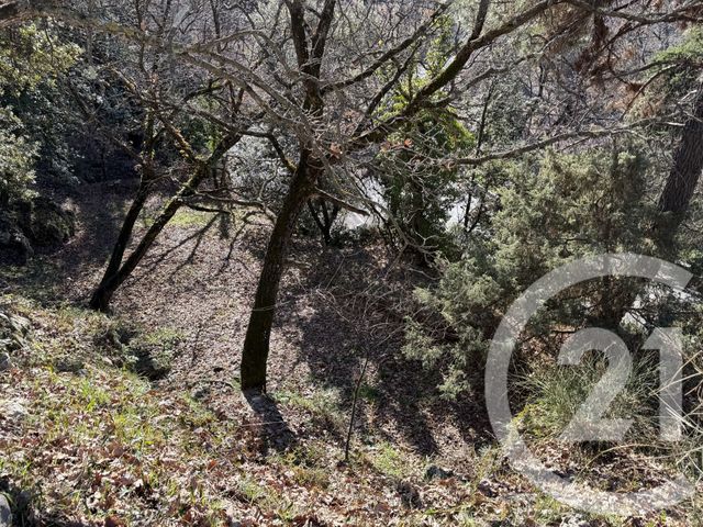 Terrain &agrave; vendre - 1500 m2 - Aspremont - 06 - PROVENCE-ALPES-COTE-D-AZUR