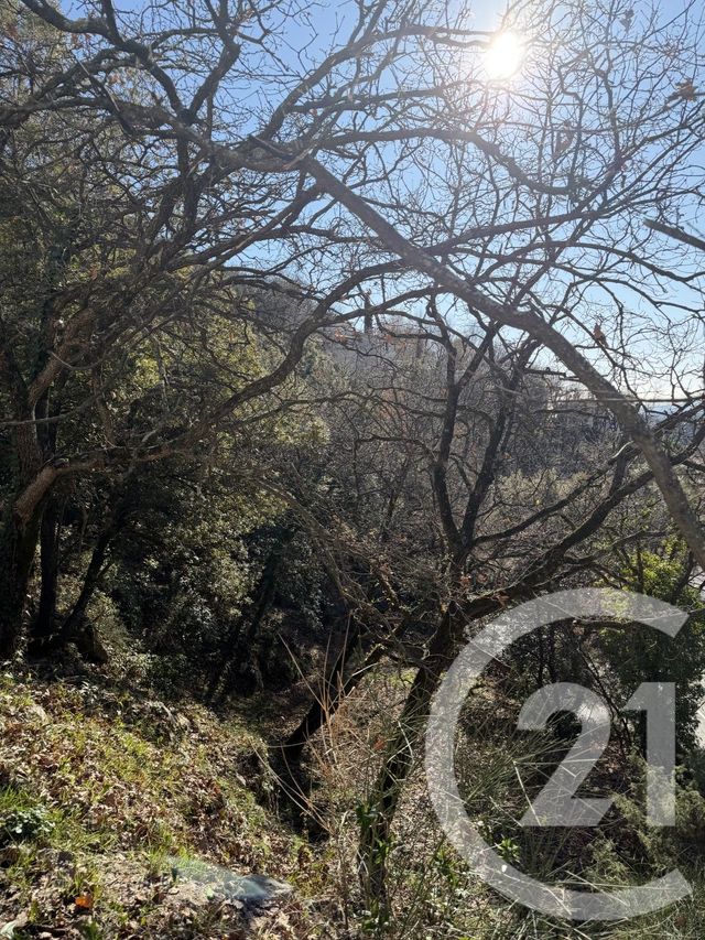 Terrain &agrave; vendre - 1500 m2 - Aspremont - 06 - PROVENCE-ALPES-COTE-D-AZUR