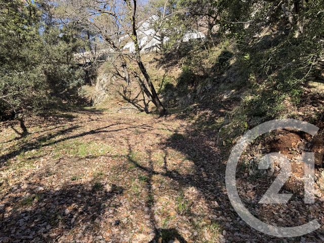 Terrain &agrave; vendre - 1500 m2 - Aspremont - 06 - PROVENCE-ALPES-COTE-D-AZUR
