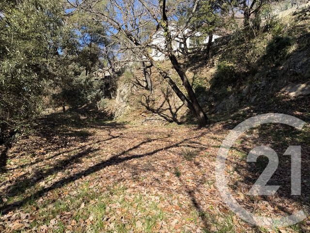 terrain - ASPREMONT - 06