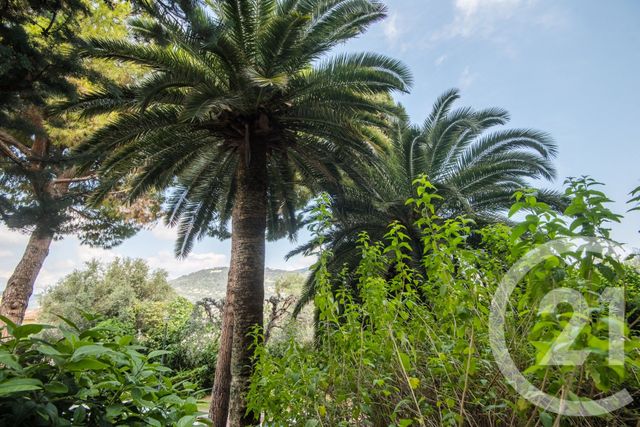 Appartement &agrave; vendre - 3 pi&egrave;ces - 74,89 m2 - Nice - 06 - PROVENCE-ALPES-COTE-D-AZUR