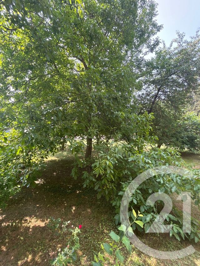 Appartement F2 à vendre - 2 pièces - 48,71 m2 - Brignoles - 83 - PROVENCE-ALPES-COTE-D-AZUR