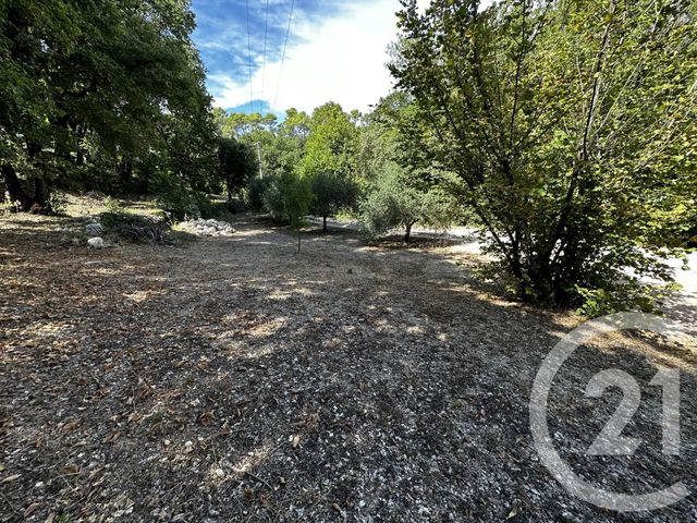 Terrain &agrave; vendre - 3547 m2 - Brignoles - 83 - PROVENCE-ALPES-COTE-D-AZUR