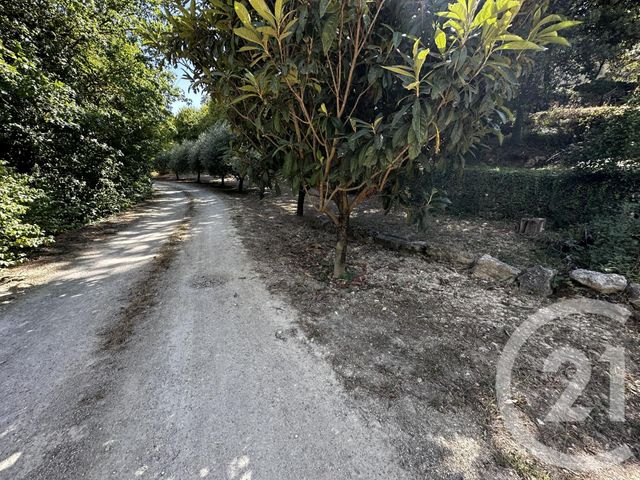 Terrain &agrave; vendre - 3547 m2 - Brignoles - 83 - PROVENCE-ALPES-COTE-D-AZUR