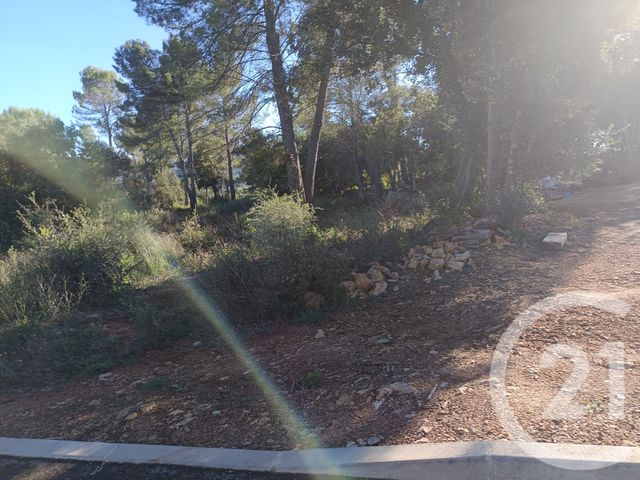 terrain - MONTFORT SUR ARGENS - 83