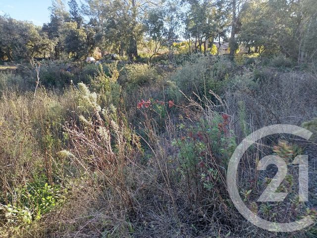 Terrain &agrave; vendre - 1200 m2 - Montfort Sur Argens - 83 - PROVENCE-ALPES-COTE-D-AZUR