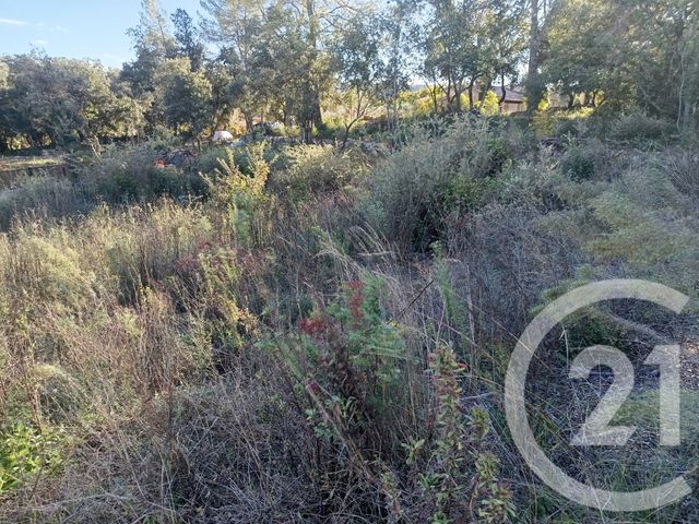 terrain - MONTFORT SUR ARGENS - 83