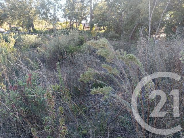 Terrain &agrave; vendre - 1200 m2 - Montfort Sur Argens - 83 - PROVENCE-ALPES-COTE-D-AZUR