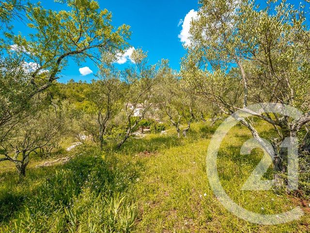 terrain - CARNOULES - 83