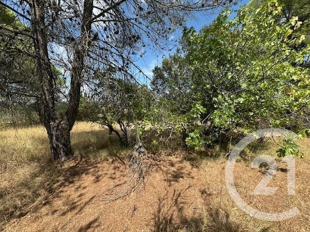 Terrain &agrave; vendre - 1677 m2 - Le Val - 83 - PROVENCE-ALPES-COTE-D-AZUR