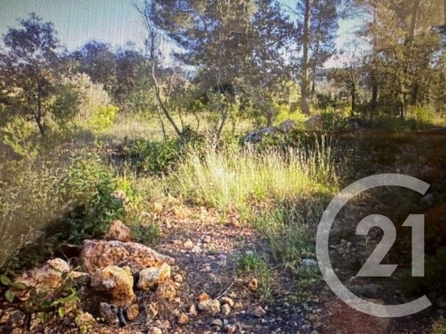 Maison &agrave; vendre - 4 pi&egrave;ces - 105 m2 - Montfort Sur Argens - 83 - PROVENCE-ALPES-COTE-D-AZUR