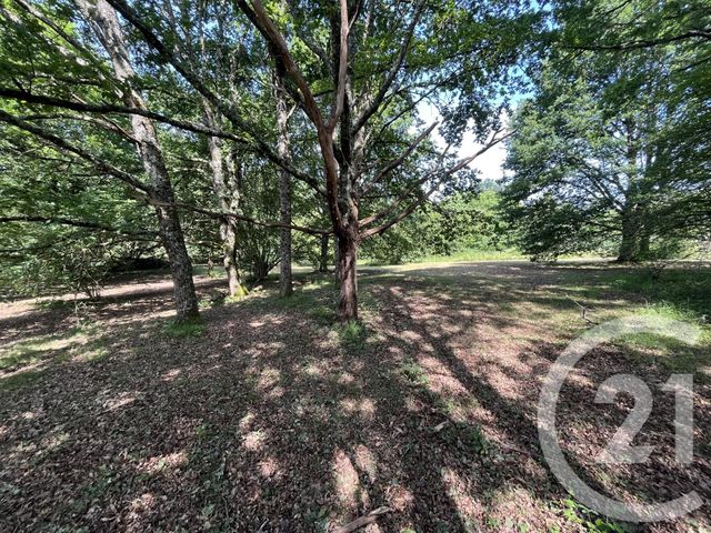 Terrain &agrave; vendre - 3204 m2 - Panazol - 87 - LIMOUSIN