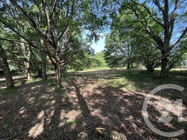 Terrain &agrave; vendre - 3204 m2 - Panazol - 87 - LIMOUSIN