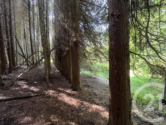 Terrain &agrave; vendre - 3207 m2 - Panazol - 87 - LIMOUSIN