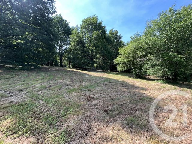 Terrain &agrave; vendre - 3207 m2 - Panazol - 87 - LIMOUSIN
