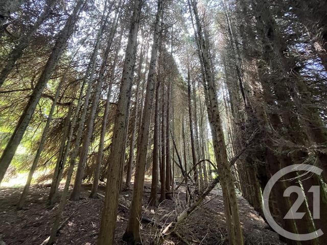 Terrain &agrave; vendre - 3207 m2 - Panazol - 87 - LIMOUSIN
