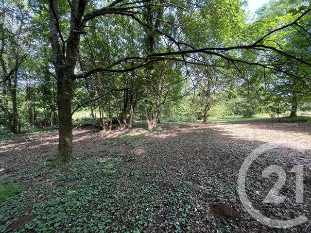 Terrain &agrave; vendre - 3207 m2 - Panazol - 87 - LIMOUSIN