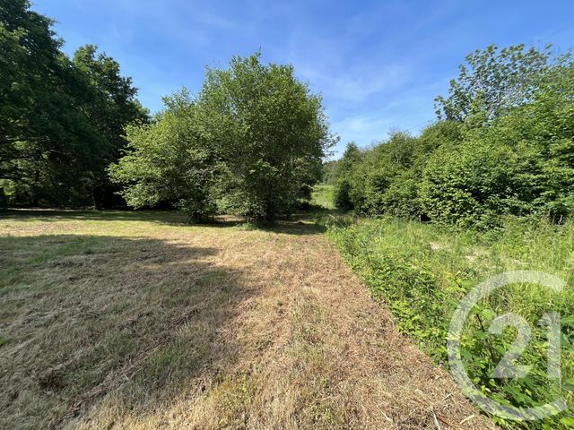Terrain &agrave; vendre - 3207 m2 - Panazol - 87 - LIMOUSIN