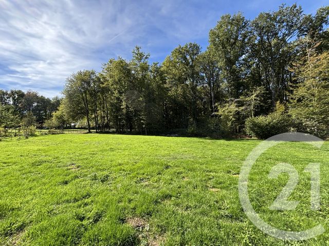 Maison &agrave; vendre - 6 pi&egrave;ces - 144,95 m2 - Chaillac Sur Vienne - 87 - LIMOUSIN