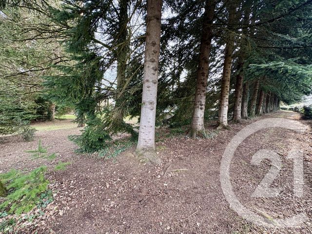 Maison &agrave; vendre - 7 pi&egrave;ces - 189,16 m2 - St Priest Taurion - 87 - LIMOUSIN