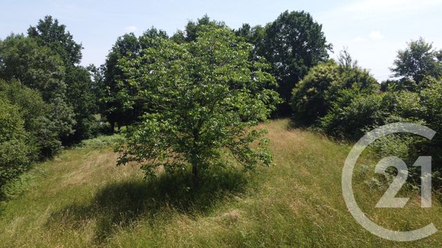 Terrain &agrave; vendre - 2500 m2 - Vicq Sur Breuilh - 87 - LIMOUSIN