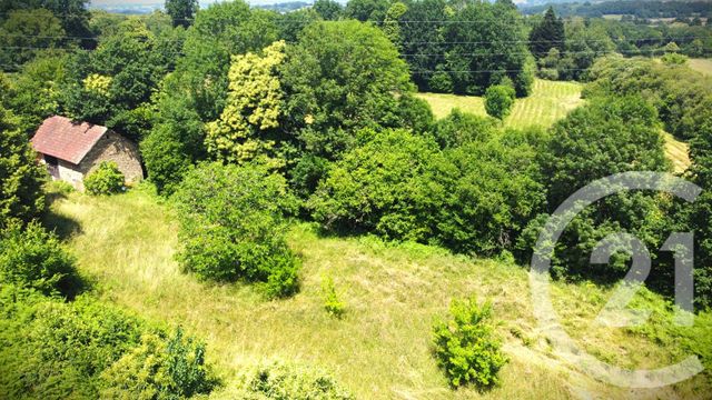 Terrain &agrave; vendre - 2500 m2 - Vicq Sur Breuilh - 87 - LIMOUSIN