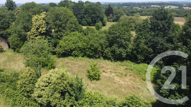 Terrain &agrave; vendre - 2500 m2 - Vicq Sur Breuilh - 87 - LIMOUSIN