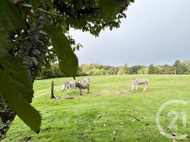 Maison &agrave; vendre - 5 pi&egrave;ces - 191,42 m2 - St Hilaire Les Places - 87 - LIMOUSIN