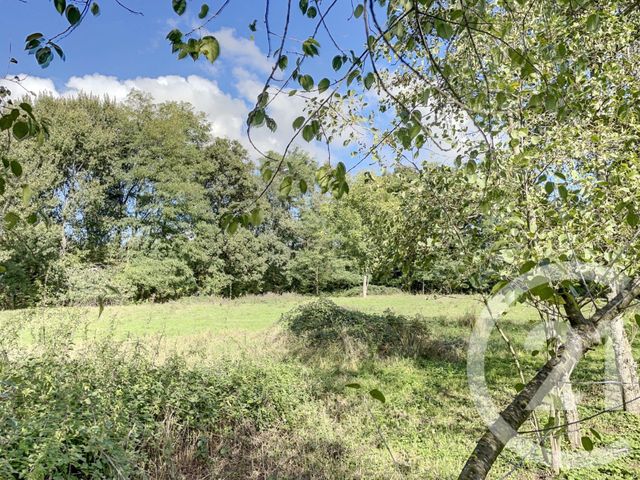 Maison à vendre - 6 pièces - 169 m2 - Curciat Dongalon - 01 - RHONE-ALPES