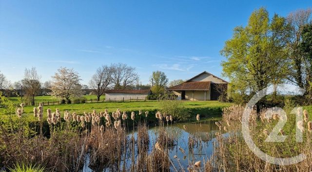 Maison &agrave; vendre - 6 pi&egrave;ces - 178 m2 - Dommartin - 01 - RHONE-ALPES