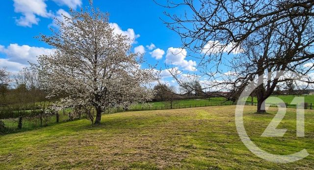 Maison &agrave; vendre - 6 pi&egrave;ces - 178 m2 - Dommartin - 01 - RHONE-ALPES