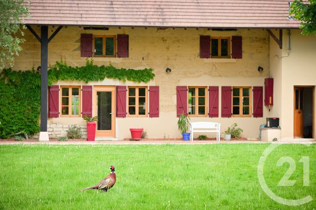 Maison &agrave; vendre - 11 pi&egrave;ces - 293,51 m2 - St Nizier Le Bouchoux - 01 - RHONE-ALPES