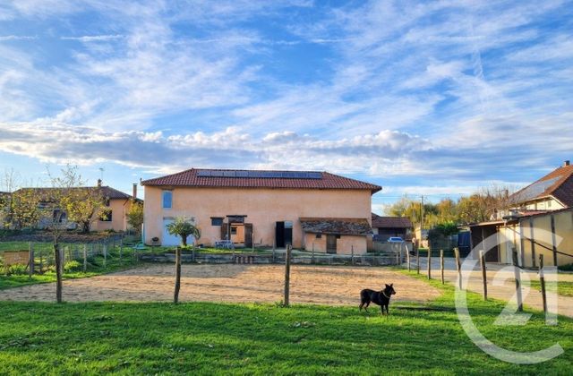 maison - ST NIZIER LE BOUCHOUX - 01