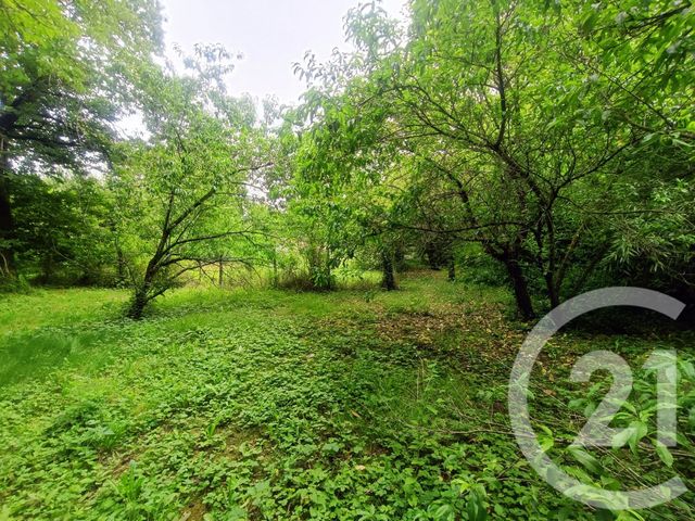 Terrain &agrave; vendre - 1531 m2 - Nivigne Et Suran - 01 - RHONE-ALPES