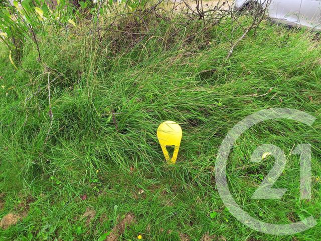 Terrain &agrave; vendre - 1531 m2 - Nivigne Et Suran - 01 - RHONE-ALPES