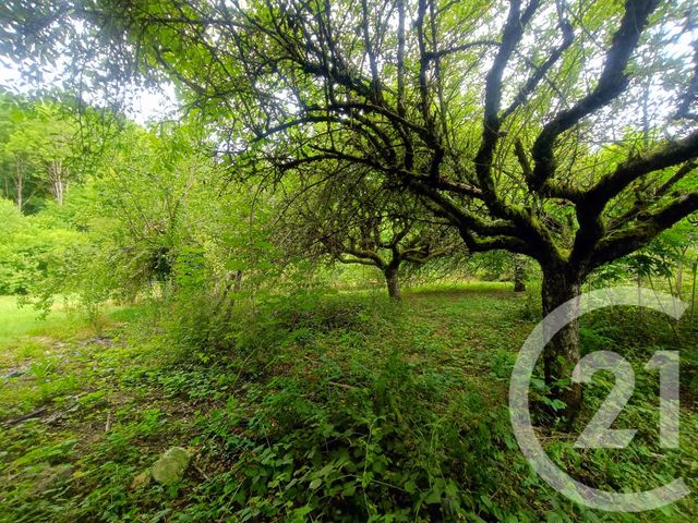 Terrain &agrave; vendre - 1531 m2 - Nivigne Et Suran - 01 - RHONE-ALPES