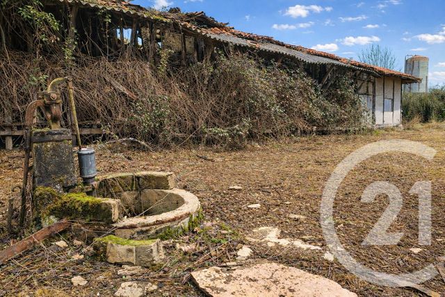 maison - LESCHEROUX - 01