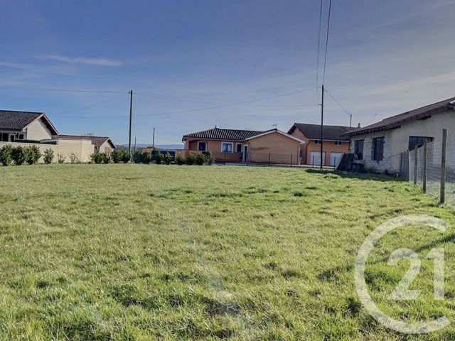 Terrain &agrave; vendre - 802 m2 - Foissiat - 01 - RHONE-ALPES