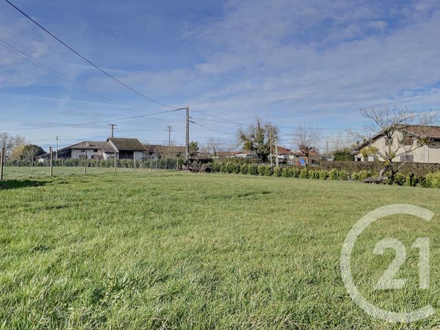 terrain - FOISSIAT - 01