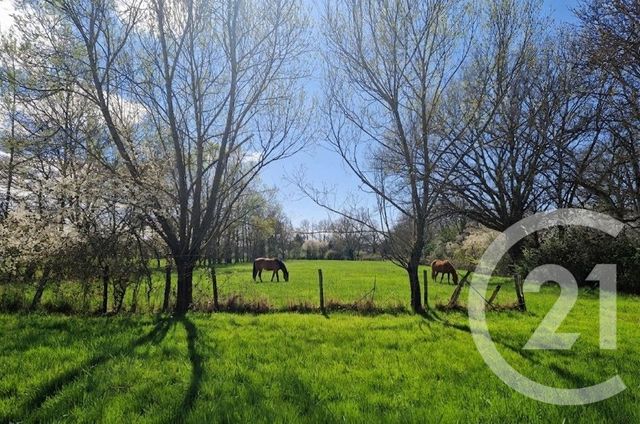 Maison &agrave; vendre - 5 pi&egrave;ces - 182 m2 - Cras Sur Reyssouze - 01 - RHONE-ALPES