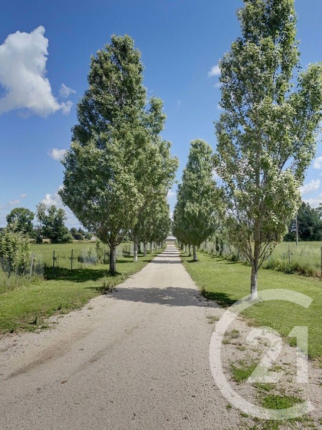 Maison &agrave; vendre - 6 pi&egrave;ces - 201 m2 - Curciat Dongalon - 01 - RHONE-ALPES