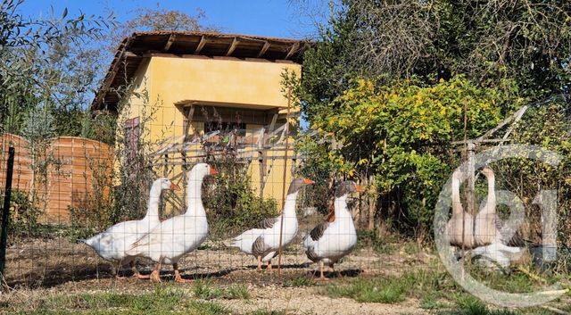 Maison &agrave; vendre - 5 pi&egrave;ces - 191,50 m2 - Curciat Dongalon - 01 - RHONE-ALPES