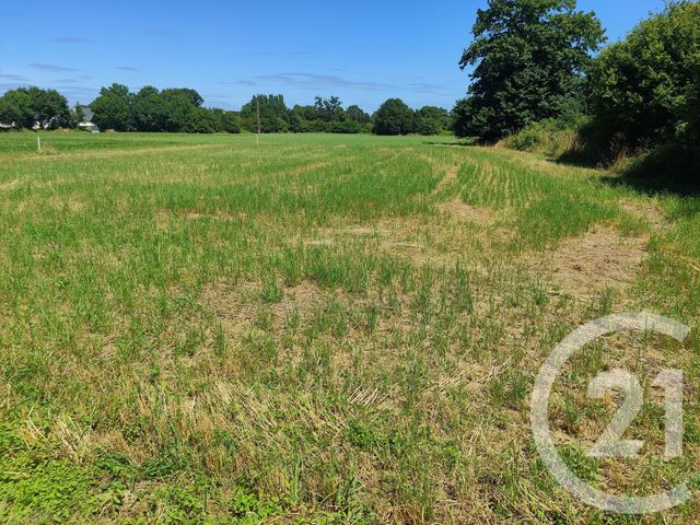 Terrain à vendre - 2767 m2 - La Guerche De Bretagne - 35 - BRETAGNE