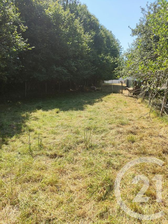 Terrain à vendre - 2767 m2 - La Guerche De Bretagne - 35 - BRETAGNE