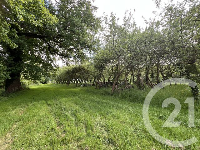 Maison à vendre - 8 pièces - 350 m2 - Cosse Le Vivien - 53 - PAYS-DE-LOIRE