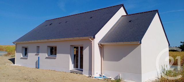 maison - NUILLE SUR VICOIN - 53