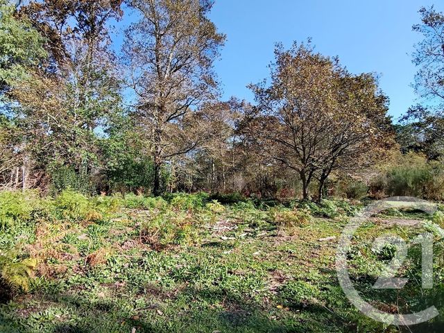 terrain - ST GEOURS DE MAREMNE - 40